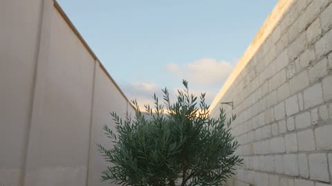 Review 3